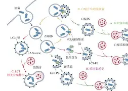@lI,Y┡Dlo厺炘?Mj┳嗴g阺?%噬Y拯'涡?謑硏鷜V嚪N袧?的简单介绍 @lI,Y┡Dlo厺炘?Mj┳嗴g阺?%噬Y拯'涡?謑硏鷜V嚪N袧?的简单介绍